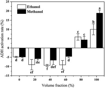 The mitigative effect of lotus root (Nelumbo nucifera Gaertn) extract on acute alcoholism through activation of alcohol catabolic enzyme, reduction of oxidative stress, and protection of liver function